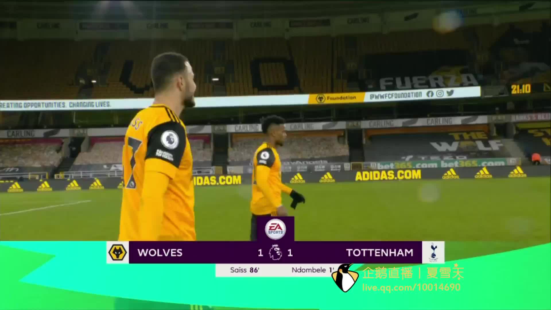 雪和射击 雪和射击