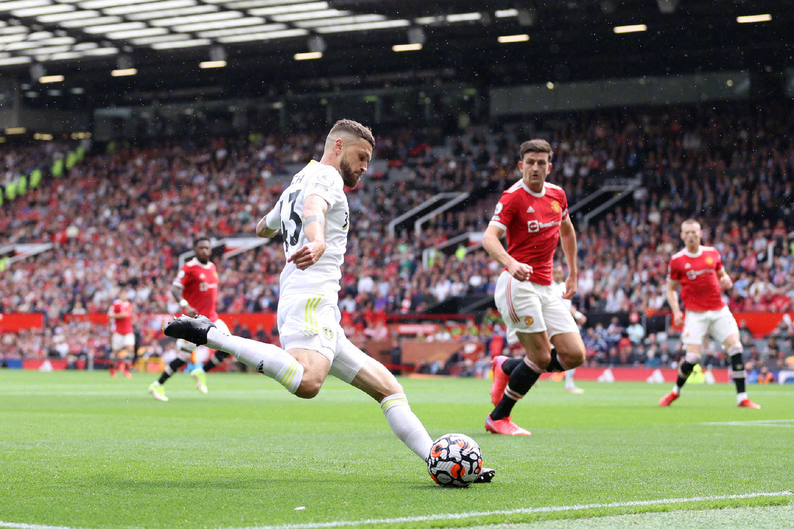 投向了这位 投向了这位